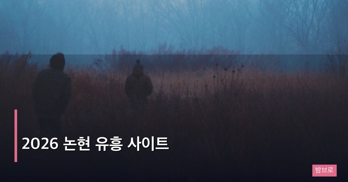 2026 논현 유흥 사이트 완전 정리, 바와 업소 비교 가이드