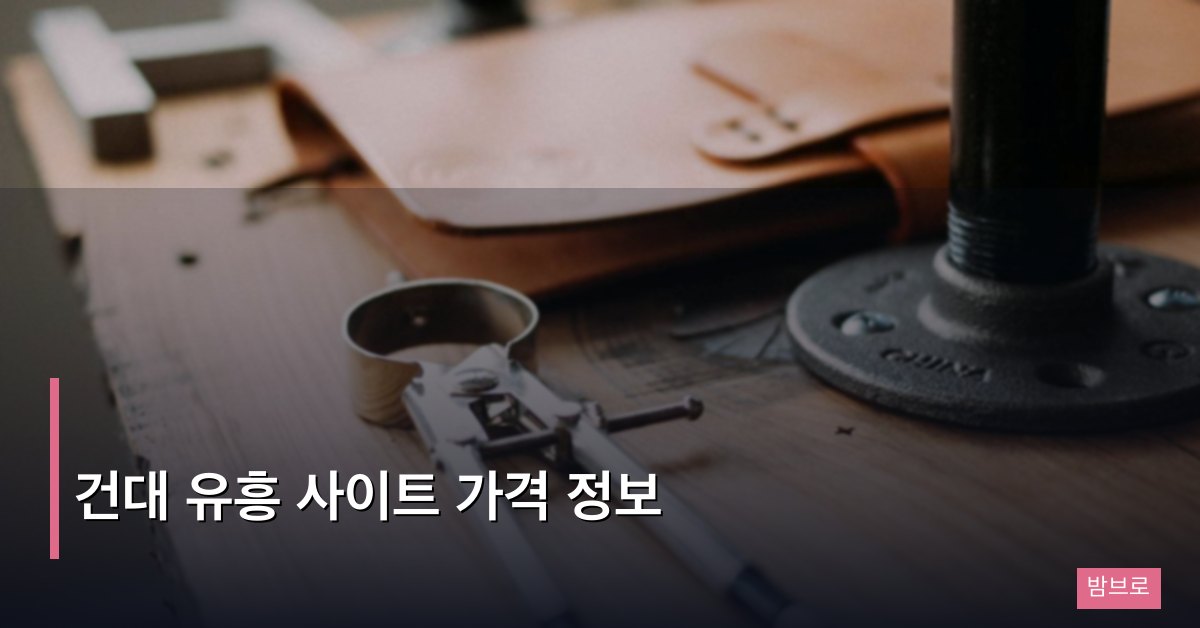 건대 유흥 사이트 가격 정보 – 업종별 비용 비교 총정리