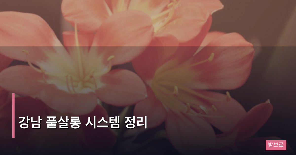 강남 풀살롱 시스템 정리, 운영 방식과 이용 절차 완벽 가이드