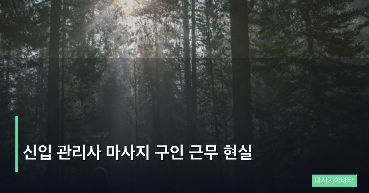 신입 관리사 마사지 구인 근무 현실