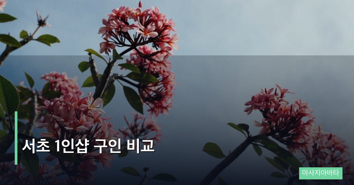 서초 1인샵 구인 비교, 매장 선택 전 반드시 봐야 할 7가지 기준