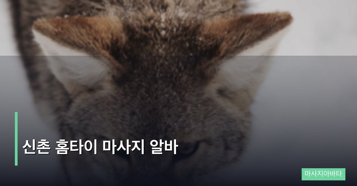 신촌 홈타이 마사지 알바, 대학가 상권에서 살아남는 법