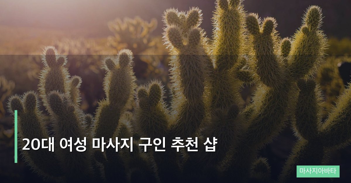 20대 여성 마사지 구인 추천 샵, 초보자도 안심하고 시작하는 법