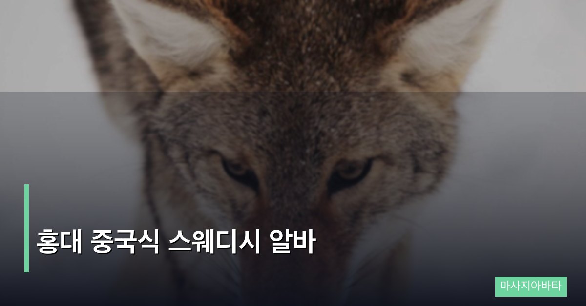 홍대 중국식 스웨디시 알바