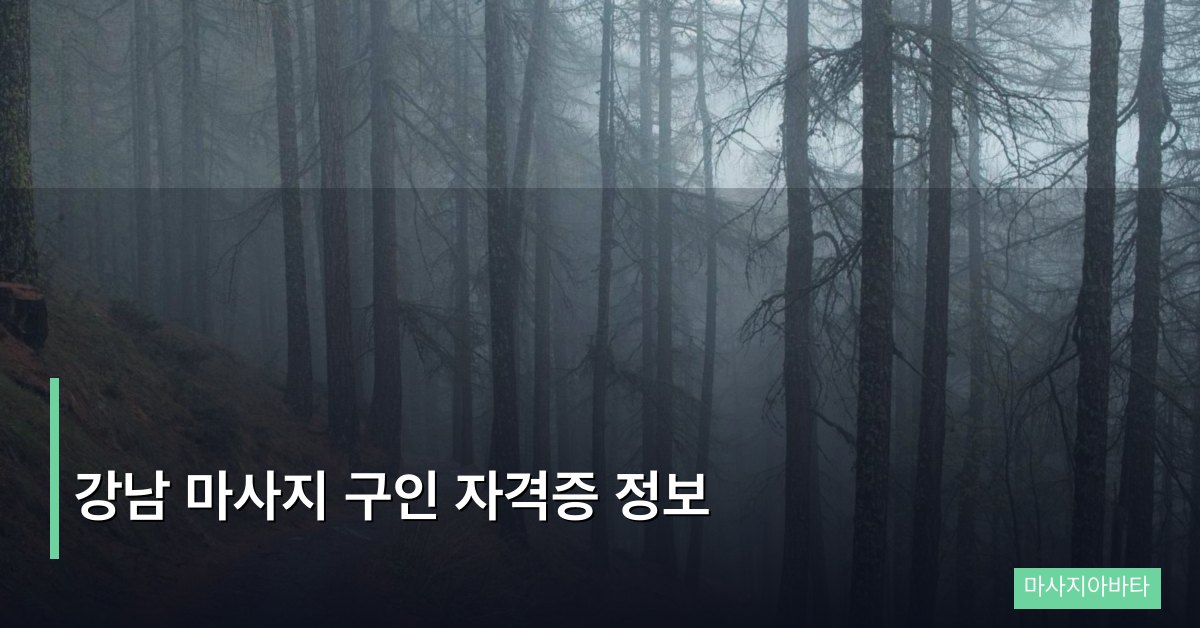 강남 마사지 구인 자격증 정보