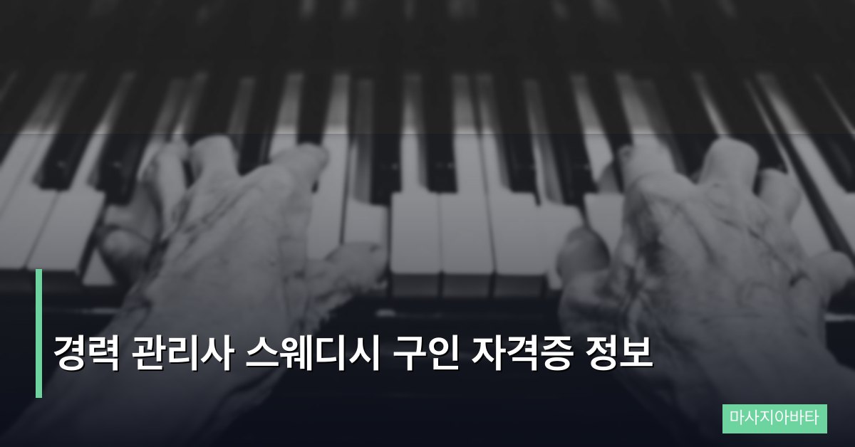경력 관리사 스웨디시 구인 자격증 정보
