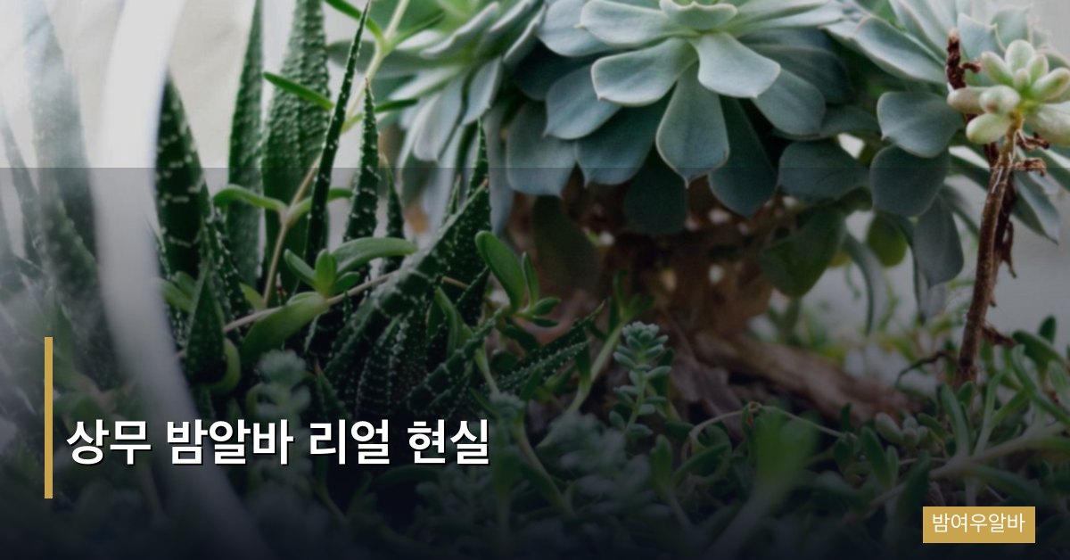 상무 밤알바 리얼 현실
