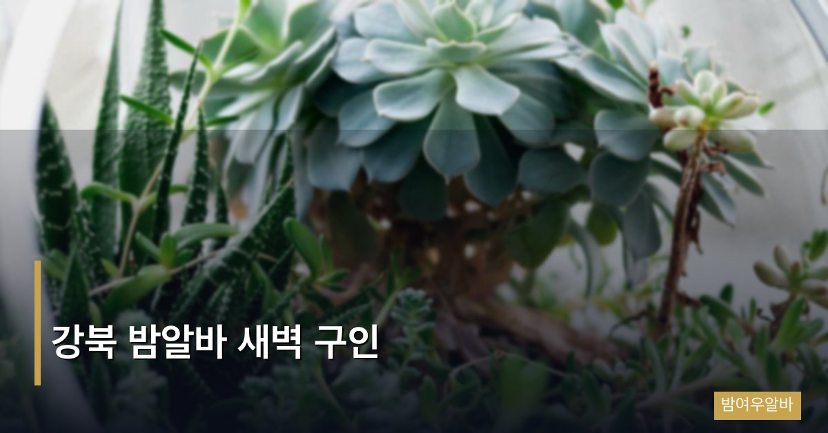 강북 밤알바 새벽 구인