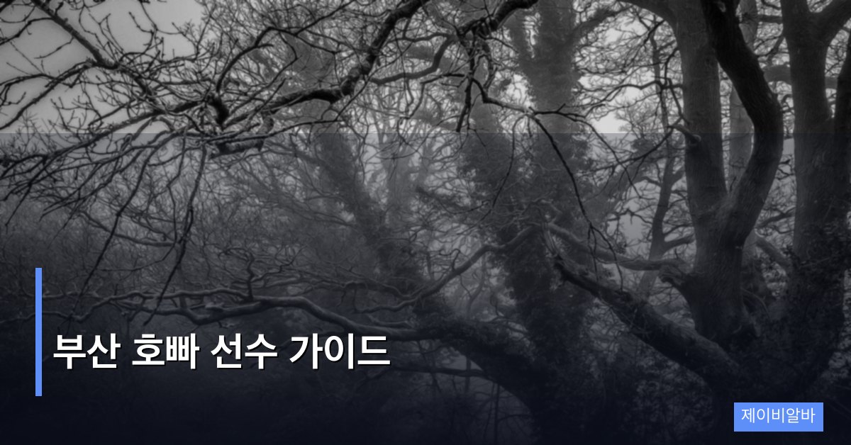 부산 호빠 선수 가이드
