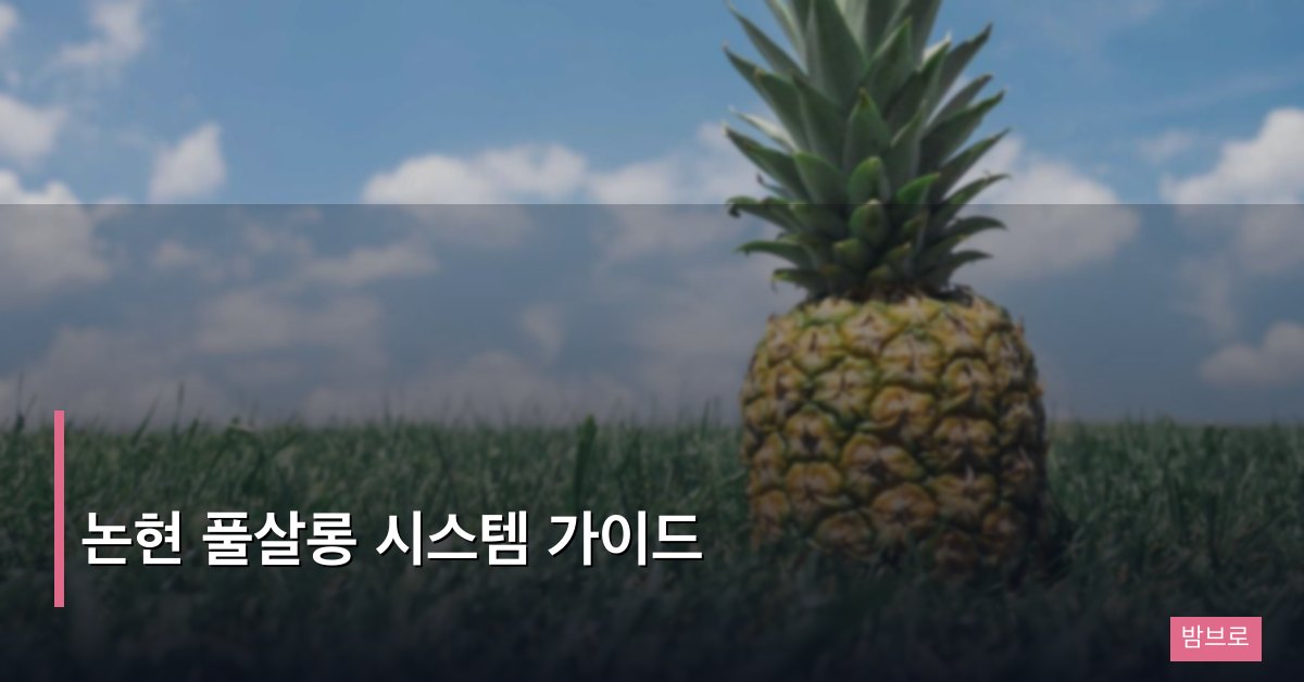 논현 풀살롱 시스템 가이드