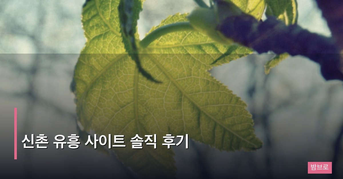 신촌 유흥 사이트 솔직 후기