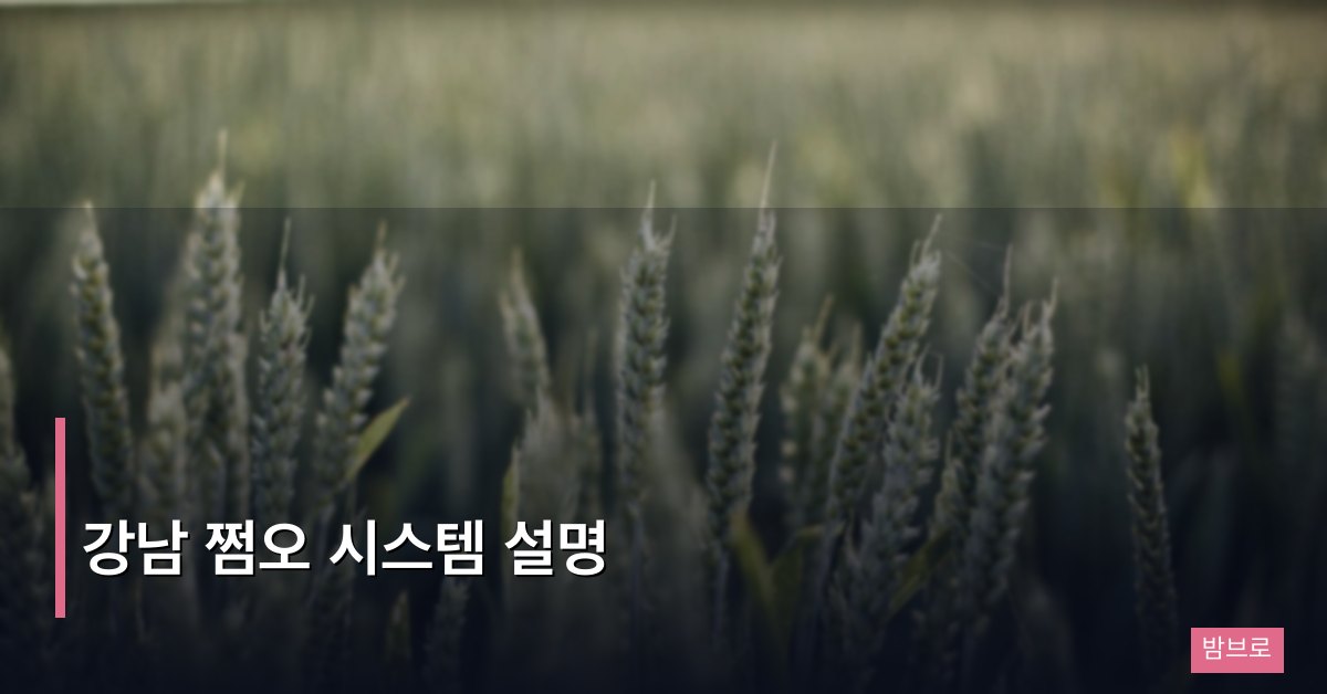 강남 쩜오 시스템 설명