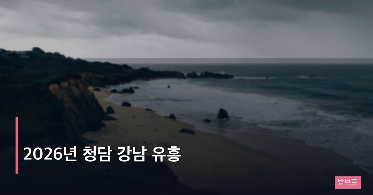 2026년 청담 강남 유흥