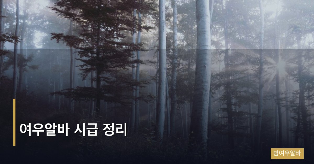 여우알바 시급 완전 정리 가이드