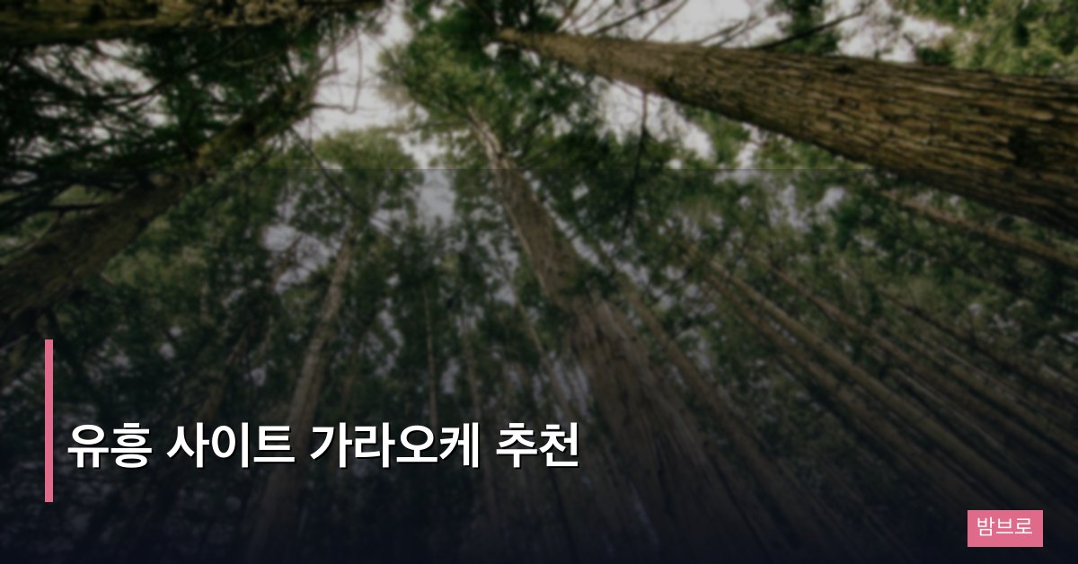 유흥 사이트 가라오케 추천