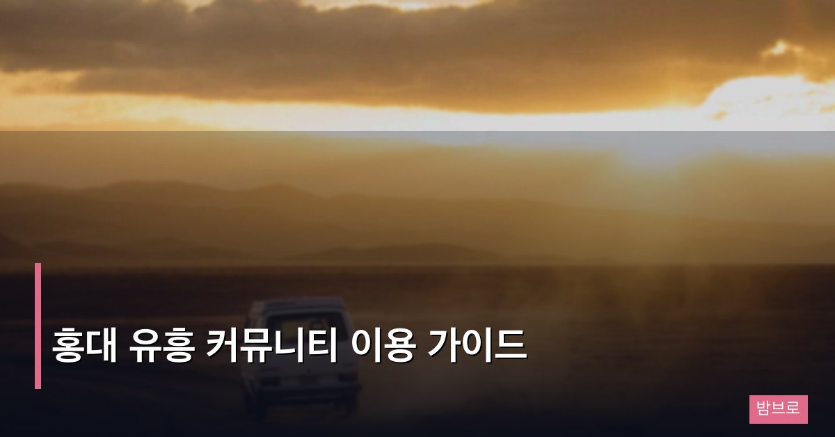홍대 유흥 커뮤니티 이용 가이드