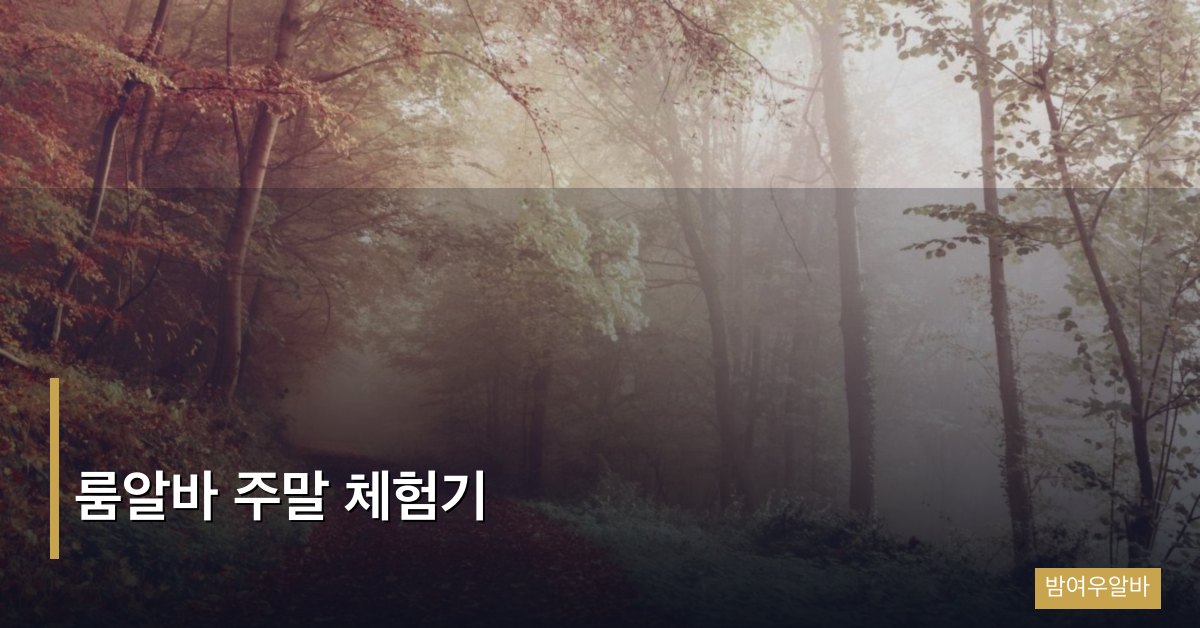 룸알바 주말 체험기 솔직 후기