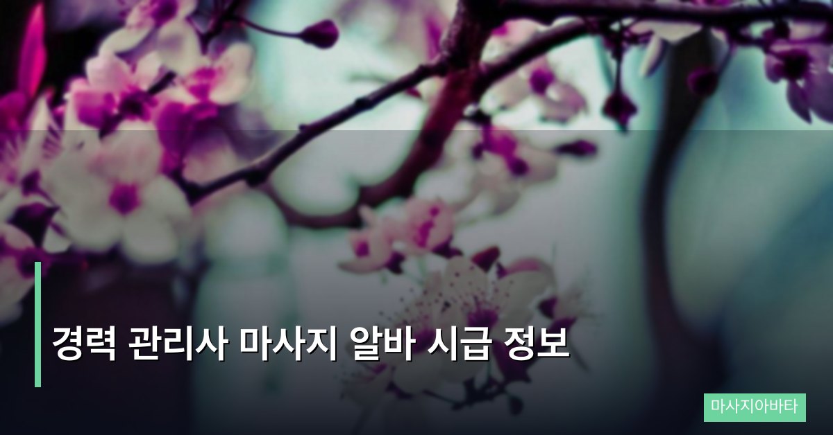 경력 관리사 마사지 알바 시급 정보