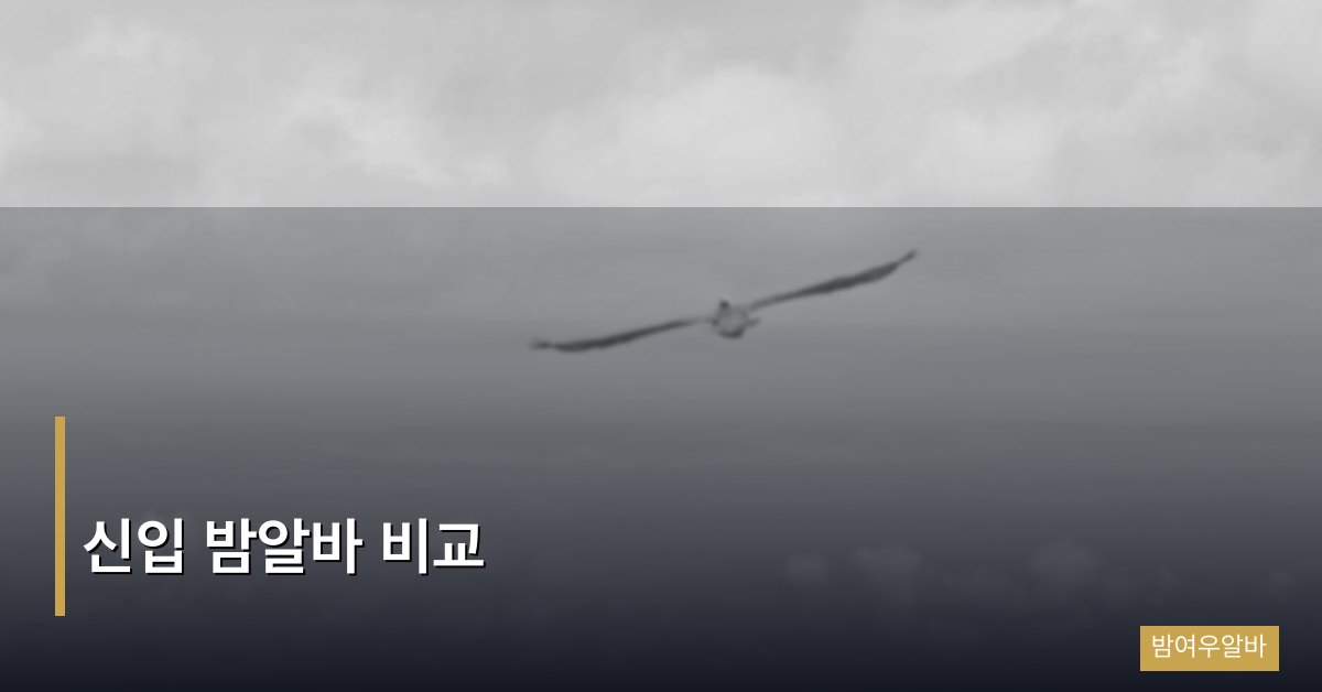 신입 밤알바 비교, 업종별 장단점과 첫 선택 실패를 막는 기준
