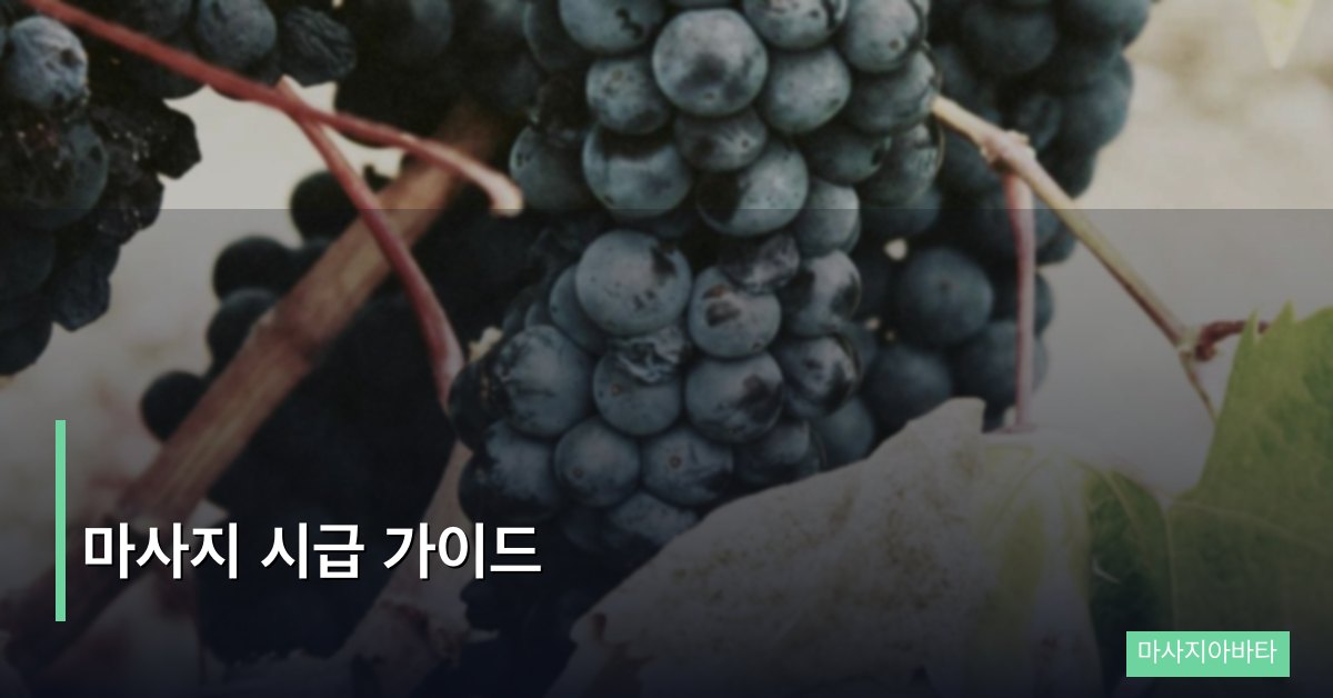 마사지 시급 가이드