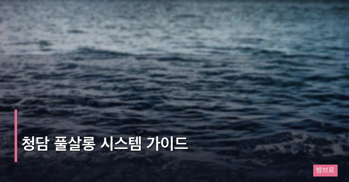 청담 풀살롱 시스템 가이드