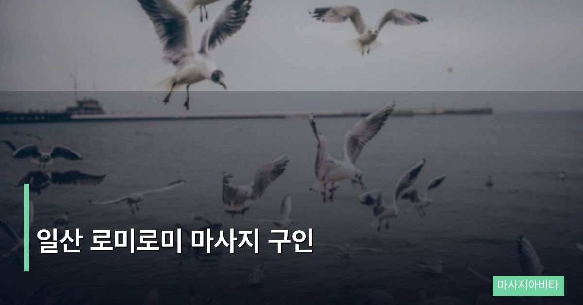 일산 로미로미 마사지 구인