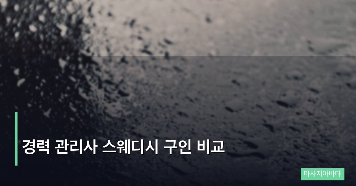 경력 관리사 스웨디시 구인 비교