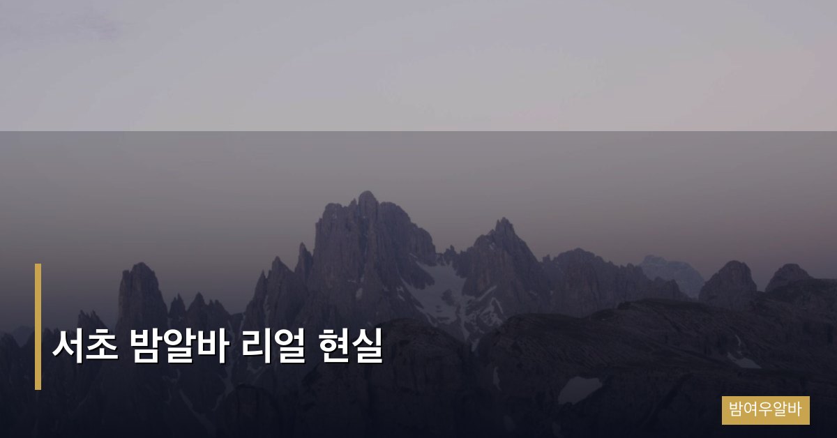 서초 밤알바 리얼 현실
