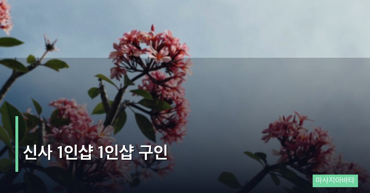 신사 1인샵 1인샵 구인