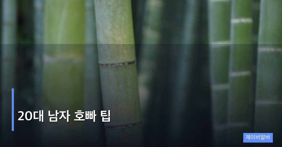 20대 남자 호빠 팁, 가장 빠르게 상위권 진입하는 실전 가이드