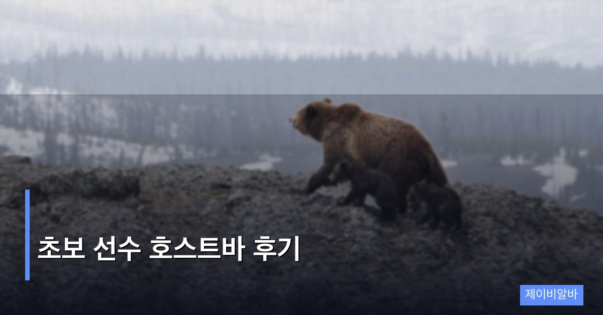 초보 선수 호스트바 후기: 3개월 경험담 솔직 공개