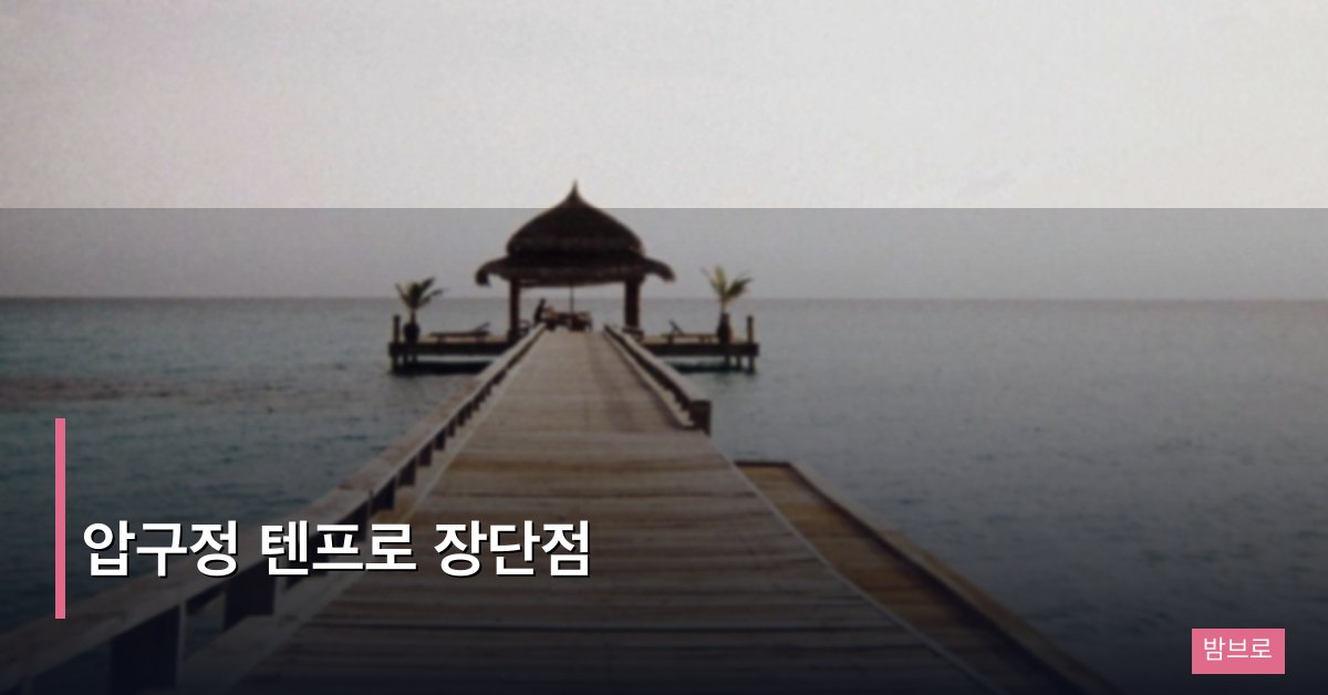 압구정 텐프로 장단점 총정리, 진짜 가치 있는 경험인지 냉정하게 분석