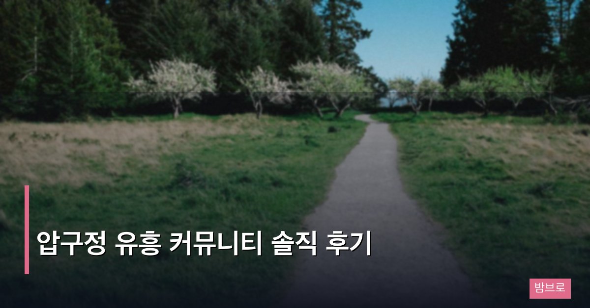 압구정 유흥 커뮤니티 솔직 후기와 지역 특화 팁